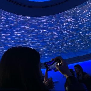 Meet your Posher, Süeda